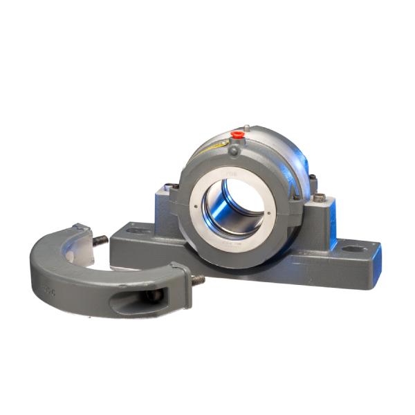 Pedestal and Flange Bearings for the Government